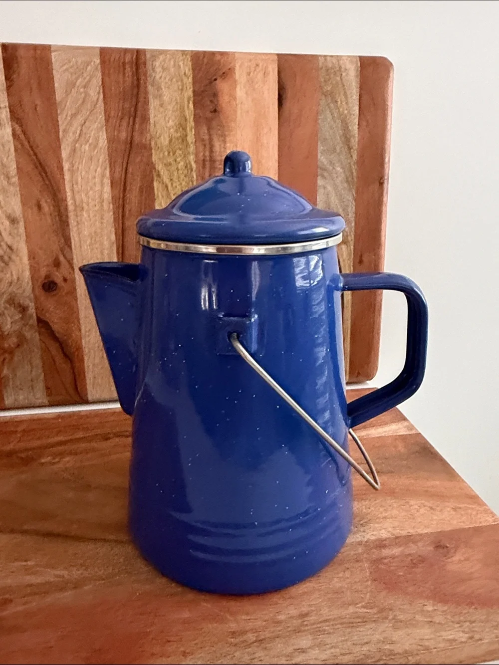 Blue Speckled Enamel Cowboy Camping Coffee Pot w/ Lid & Insert Made in Thailand